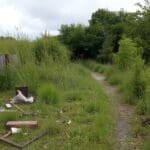 modèle de lettre pour terrain non entretenu