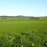 Prix terrain non constructible : estimation par m2 en France prix terrain non constructible